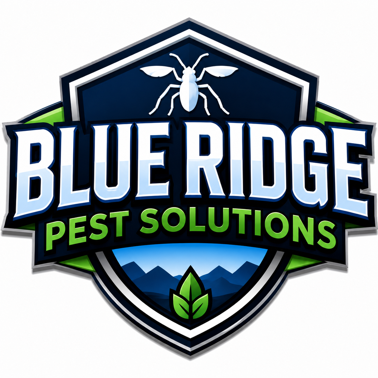 Blue Ridge Pest Solutions
